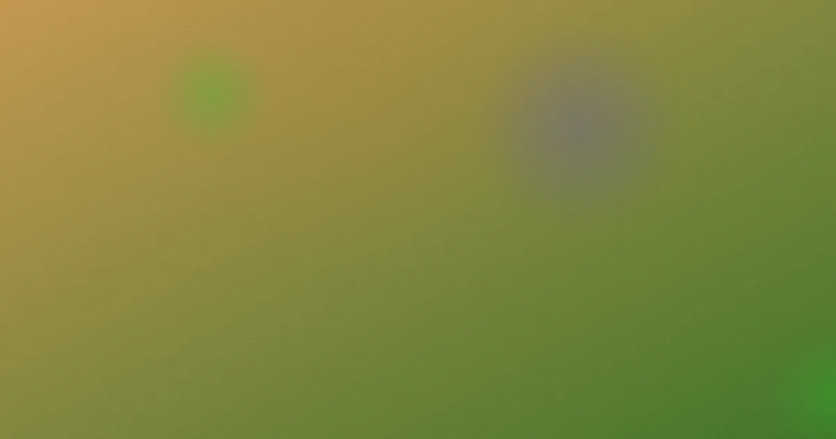 丁满测评：五步避坑指南